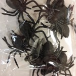 plastmasiniai vorai